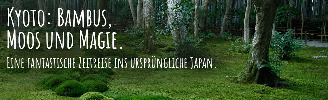 Bambus und Gio-ji Tempel in Kyoto, Japan
