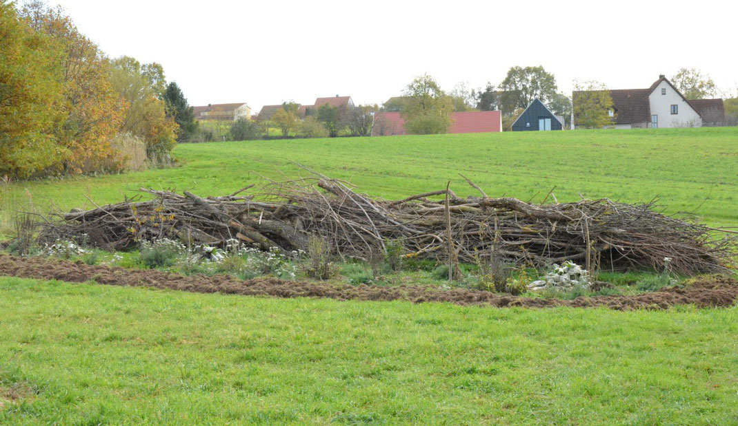 Hier wurde eine neue Heckenstruktur mit Saum angelegt und dahinter noch mit Totholz ergänzt.