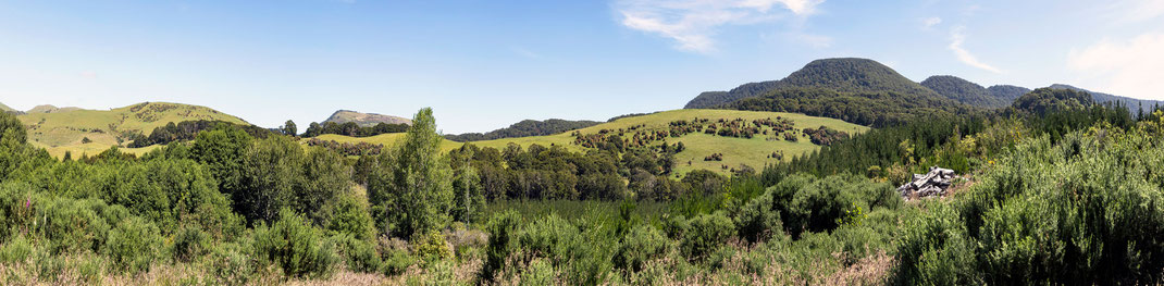Catlins