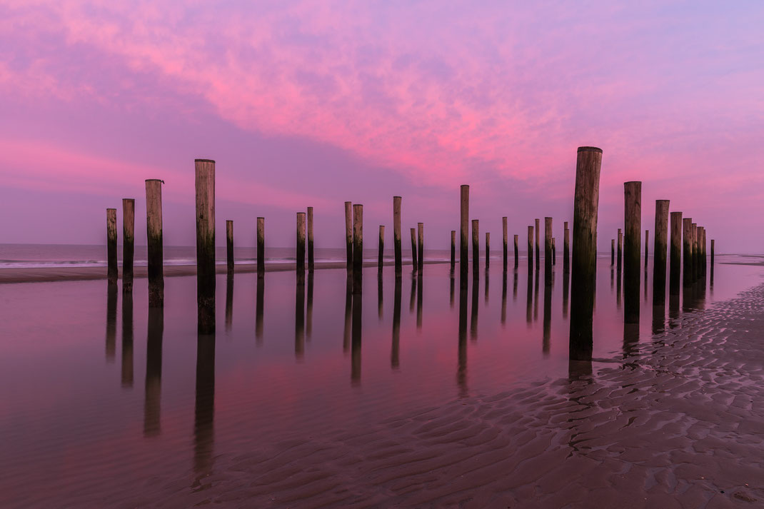 Sunrise at Palendorp Petten