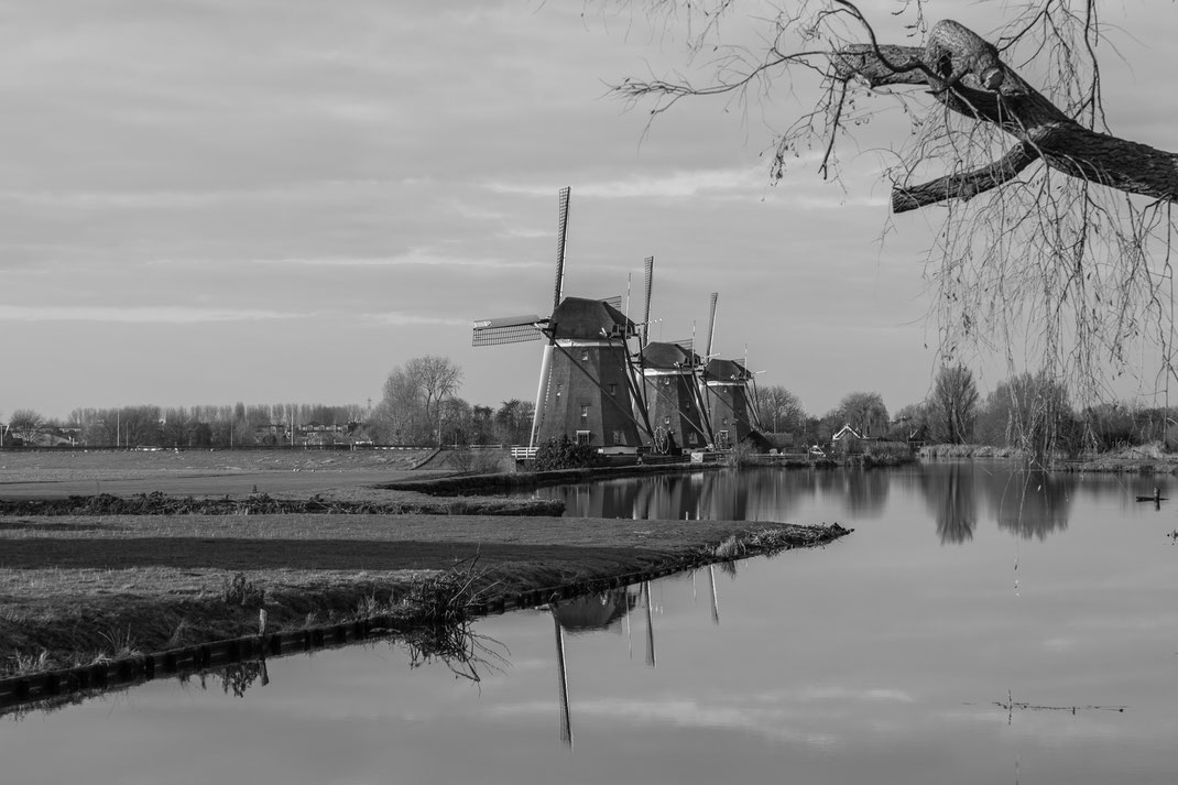 Windmills at Driemanspolder - Leidschendam - The Netherlands