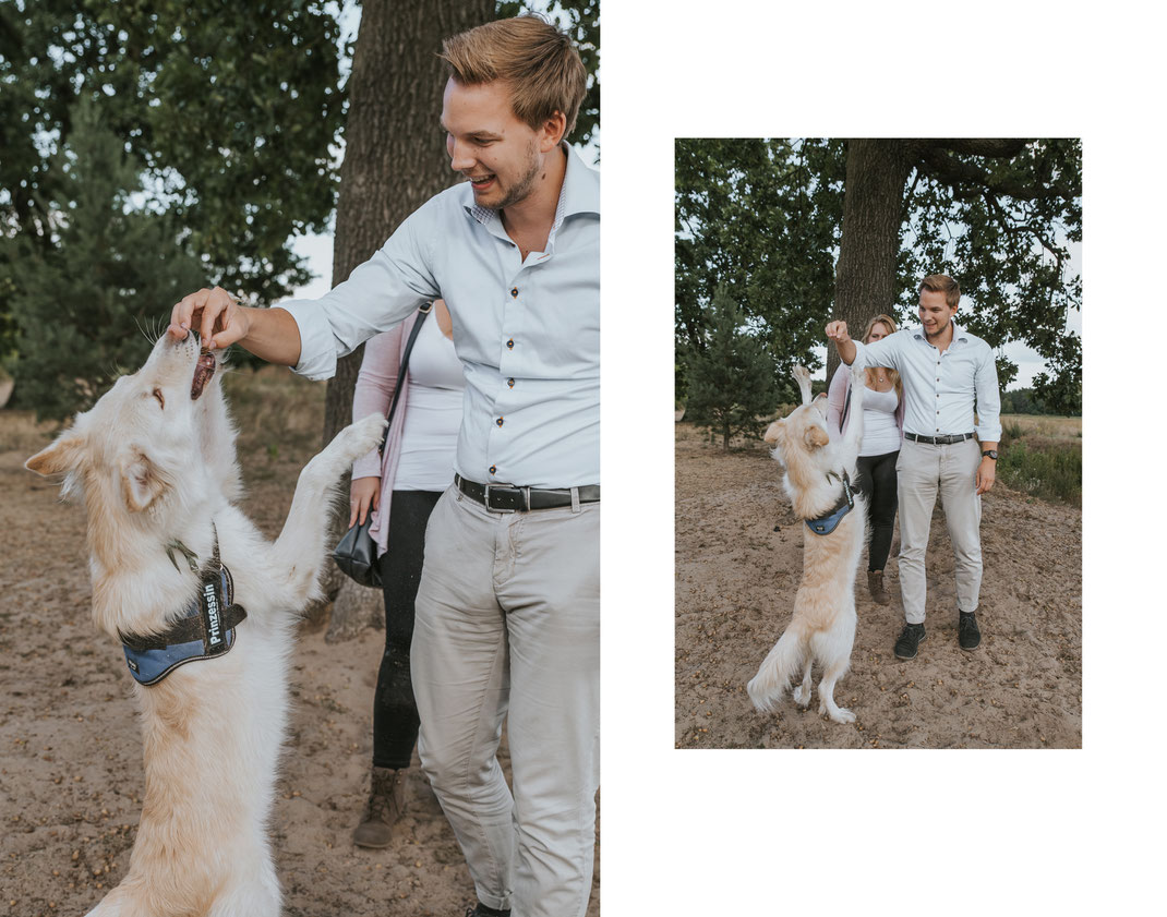 authentisches Portraitshooting mit Hund Streunertreffen im Erpetal des Tierschutzverein Streunerhilfe Bulgarien e.V. Hundefotografie Berlin Tierfotografie Fotografin Erfahrungsbericht Auslandstierschutz Hunde aus dem Ausland Bulgarien