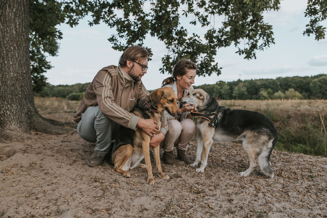 Paarshooting mit Hund Streunertreffen im Erpetal des Tierschutzverein Streunerhilfe Bulgarien e.V. Hundefotografie Berlin Tierfotografie Fotografin Erfahrungsbericht Auslandstierschutz Hunde aus dem Ausland Bulgarien