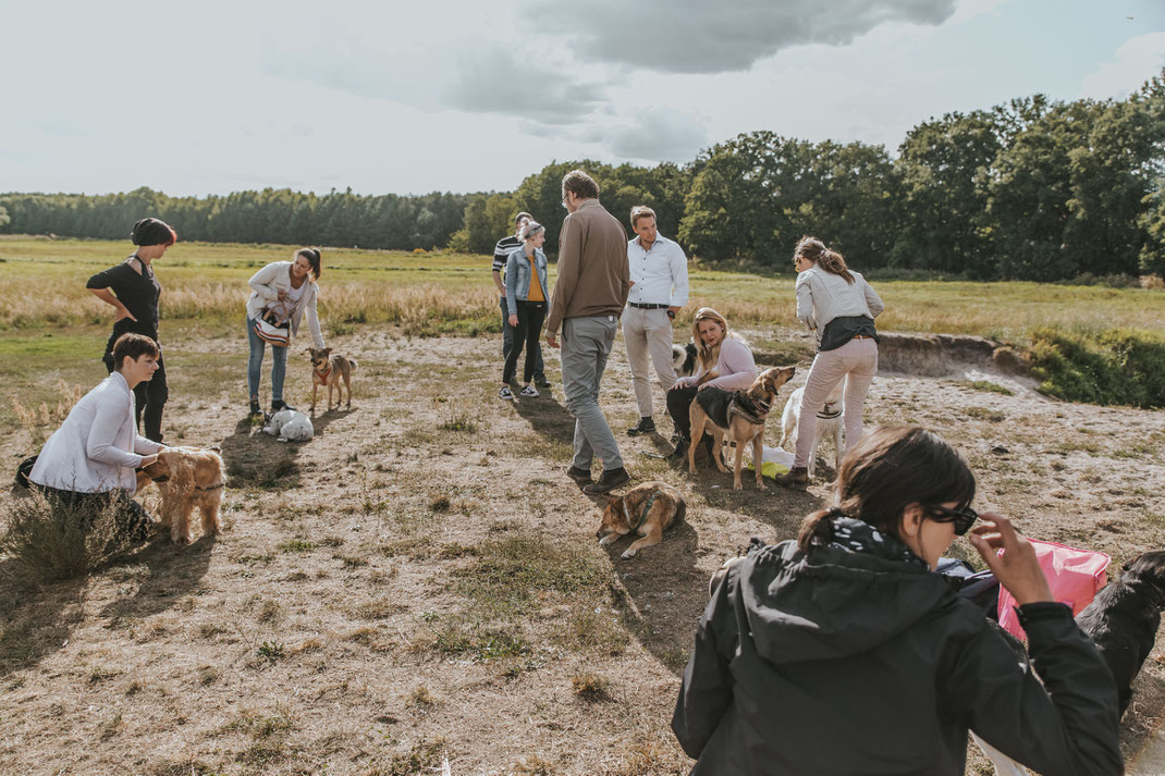 Streunertreffen im Erpetal des Tierschutzverein Streunerhilfe Bulgarien e.V. Hundefotografie Berlin Tierfotografie Fotografin 