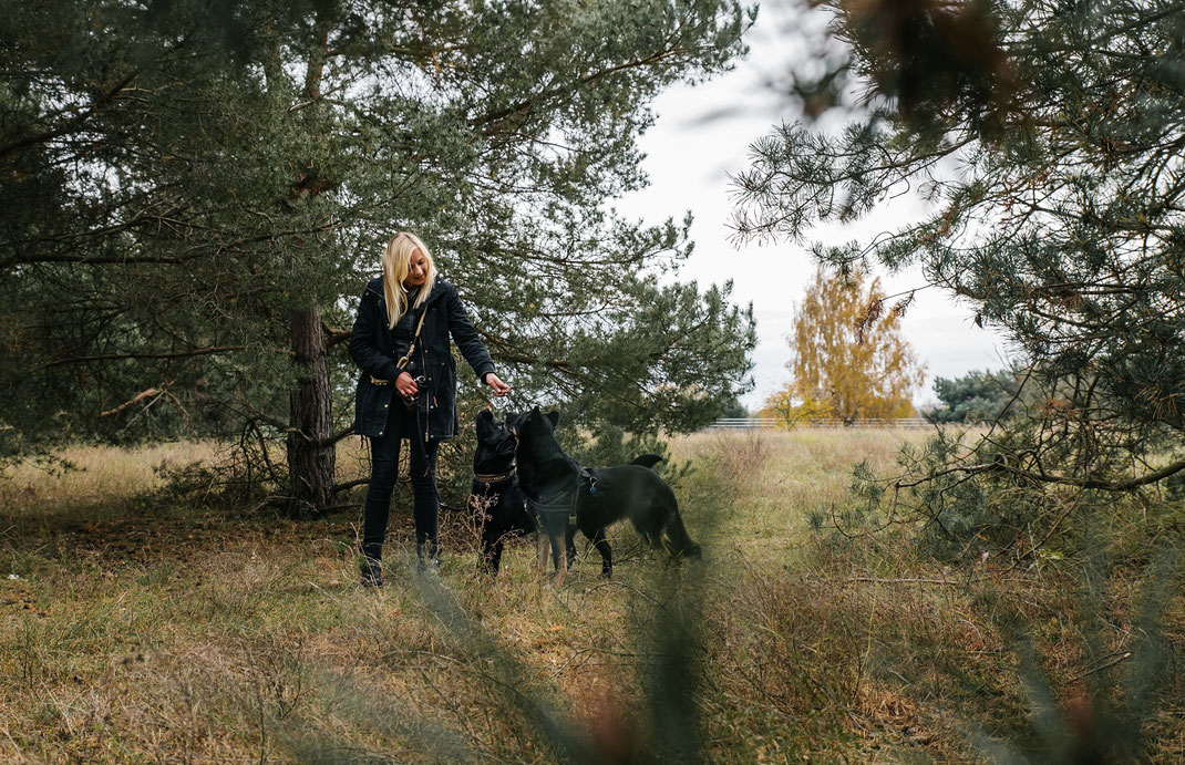 Spaziergang im Landschaftspark Adlershof Bildstrecke mit Hundeschule Hundekompass Trainerin Anna Ostrowska Hundefotografie Berlin 