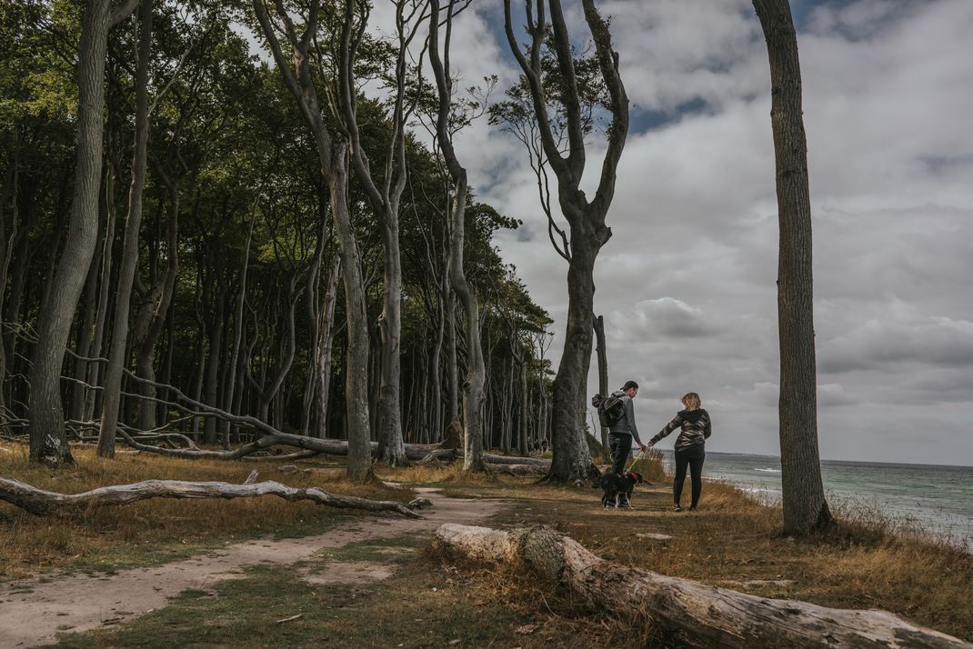Rostock Gespensterwald Ostseebad Nienhagen Wanderung Wildcamping Strandspaziergang Paarshooting