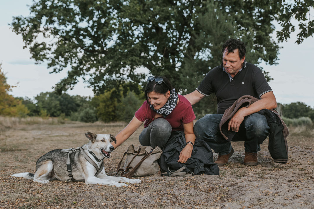 Portraitshooting mit Hund Streunertreffen im Erpetal des Tierschutzverein Streunerhilfe Bulgarien e.V. Hundefotografie Berlin Tierfotografie Fotografin Erfahrungsbericht Auslandstierschutz Hunde aus dem Ausland Bulgarien