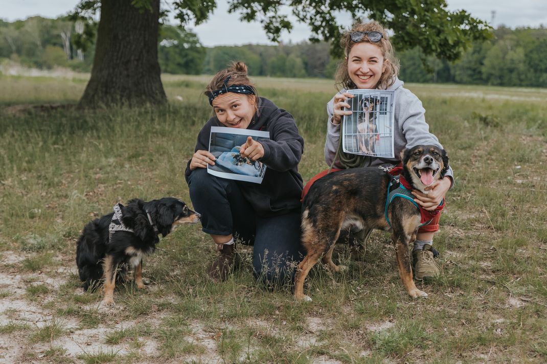 Erpetal Berlin Hoppegarten Gruppenbild Streunerhilfe Bulgarien e.V. Hundefotografie Berlin Tierfotograf Brandenburg authentische Reportage