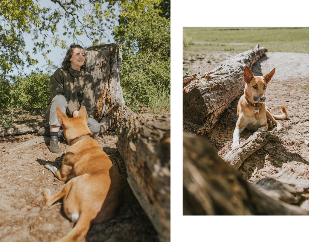 Hundefotografie Erpetal Berlin Brandenburg Frau ein Hunde natürliche Portraits mit Haustier Hundefotos Tierfotograf Nadine Kunath