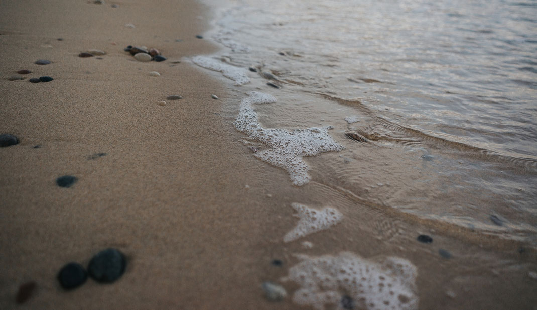 Meer Strand Stenshuvud National Park mit Hund skane suedschweden nadine kunath reise fotografie travelphotographer reisefotografin berlin 