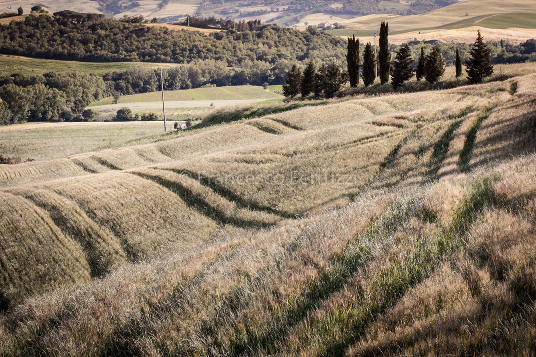 Toscana: Val d'Orcia [Tuscany: Val d'Orcia]