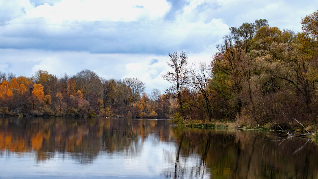 Die Isar bei Mamming (Foto: Fred Gruber 2021)