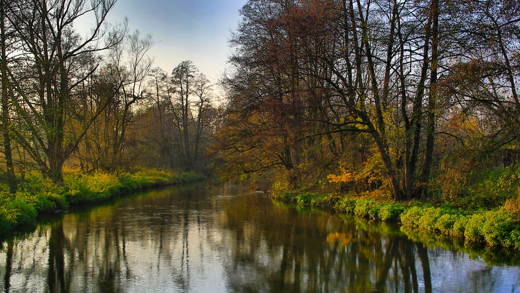 Die Vils bei Loitersdorf (Foto: Joachim Aschenbrenner 2021)