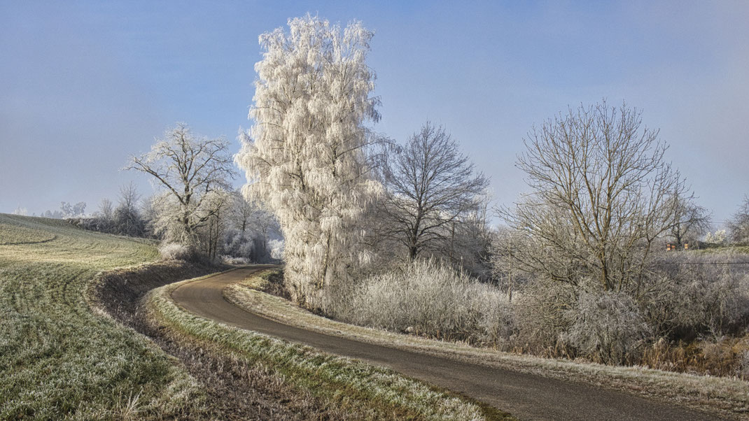 Im Hügelland bei Töding (Foto: Joachim Aschenbrenner, 2025)