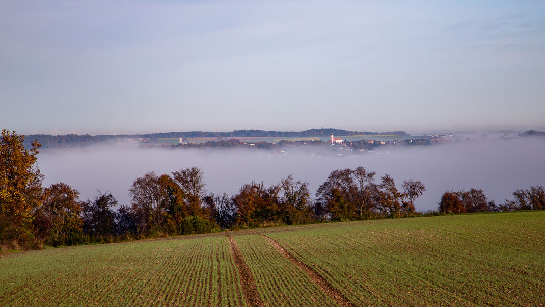 Blick von Frichlkofen ins Isartal und auf Thürnthenning (Foto: Fred Gruber 28.10.2022).