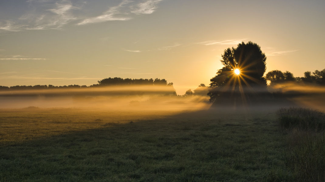 Morgenstimmung im Königsauer Moos bei Töding      (Foto: Joachim Aschenbrenner)