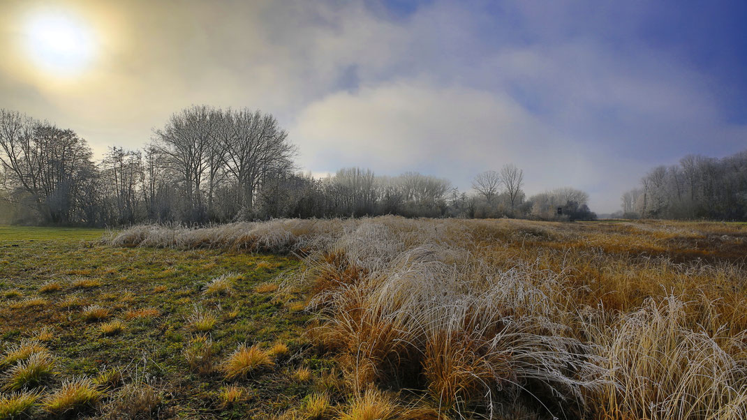 Morgenstimmung im Spätherbst, Isartal bei Dingolfing (Foto: Joachim Aschenbrenner, Dezember 2020)