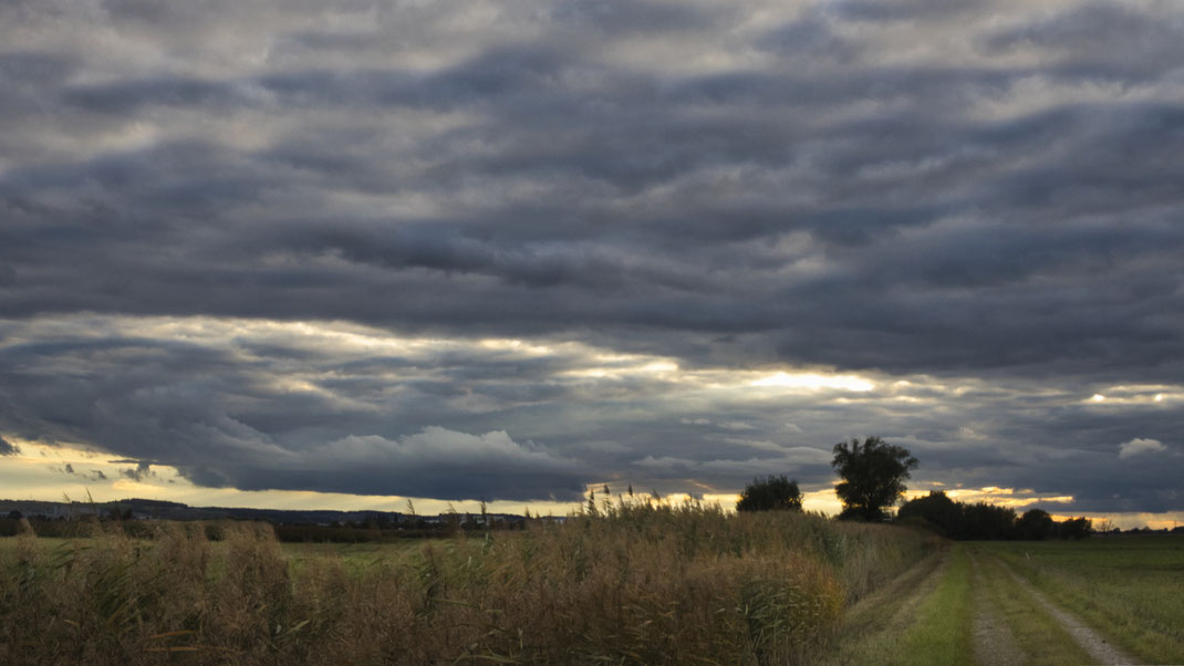 Herbststürme auch im Oktober 2025 im Königsauer Moos (Foto: Joachim Aschenbrenner)