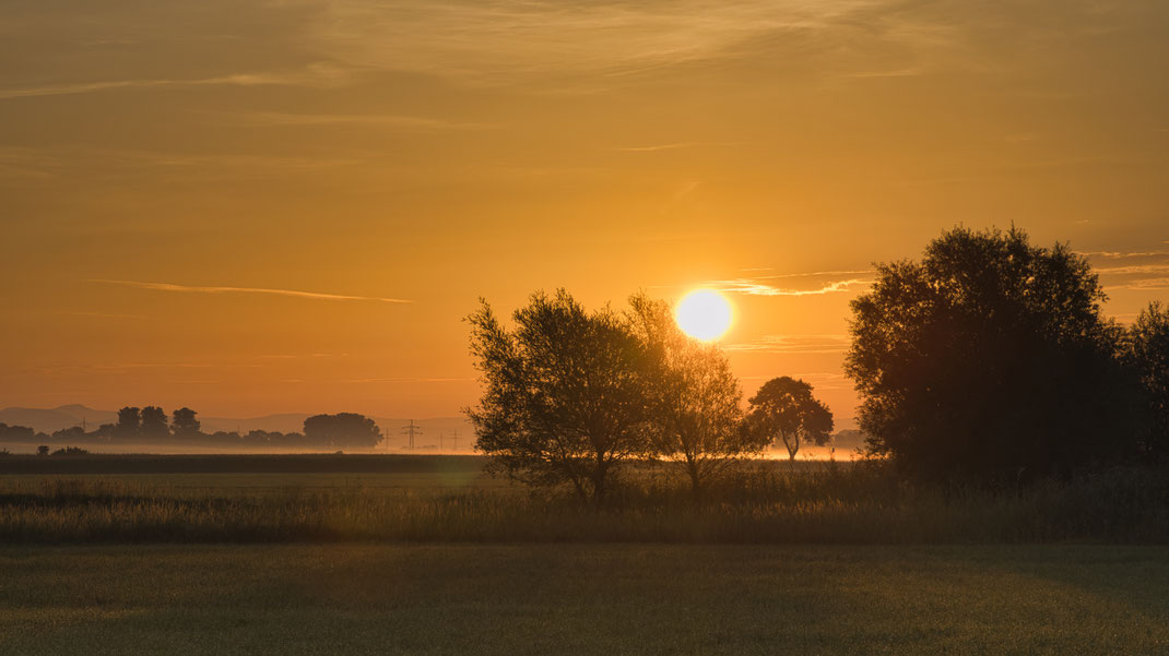 Sonnenaufgang im Königsauer Moos (Foto: Joachim Aschenbrenner, August 2023)