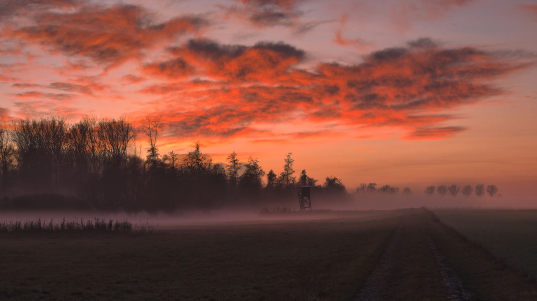 Dezember im Königsauer Moos (Foto: Joachim Aschenbrenner)