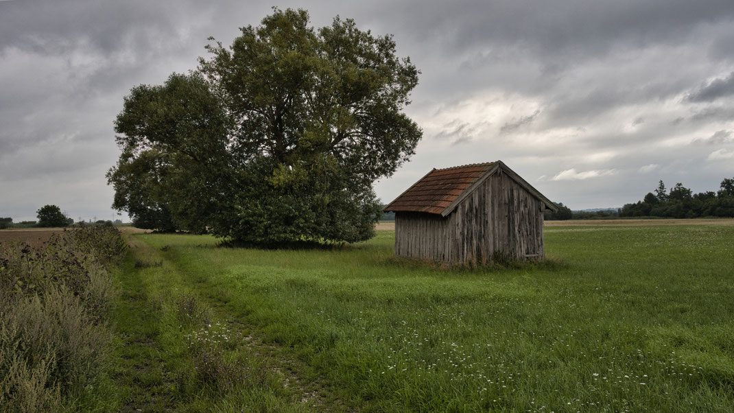 Die Hütte im Moos (Foto: Joachim Aschenbrenner)