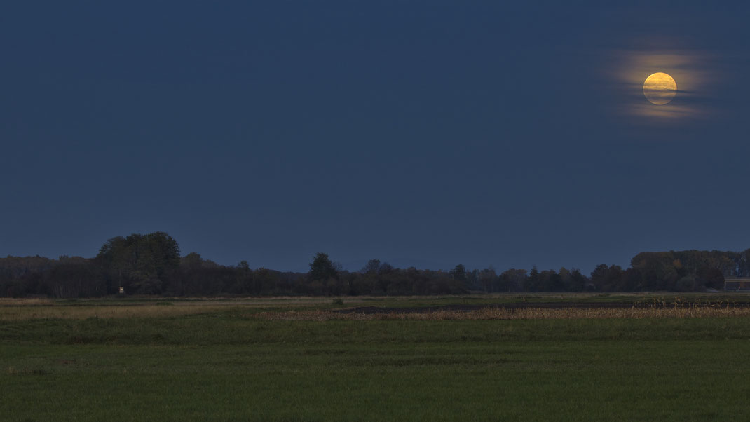 Supermond überm Königsauer Moos (Foto: Joachim Aschenbrenner, Oktober 2024)