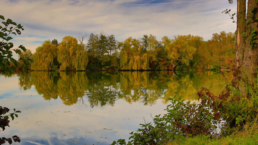 Weiher an der Bärenschädelwiese (Foto: Joachim Aschenbrenner 2021)