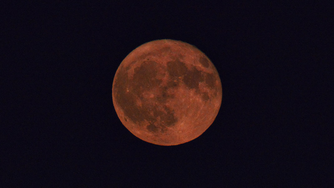 "Erdbeermond" am 11.06.2025 im Landkreis (Foto: Joachim Aschenbrenner)