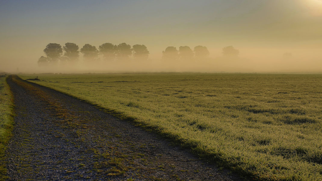 Der erste Frost im Moos (Foto: Joachim Aschenbrenner 2021)