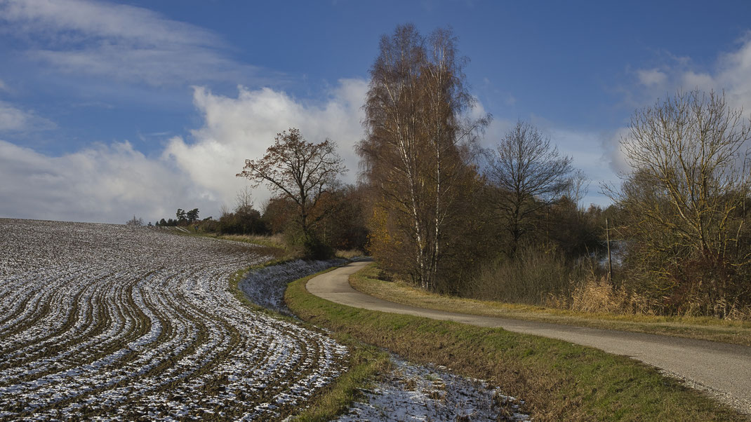 Ende November wird es winterlich im Hügelland bei Töding. (Foto: Joachim Aschenbrenner, Nov. 2023)