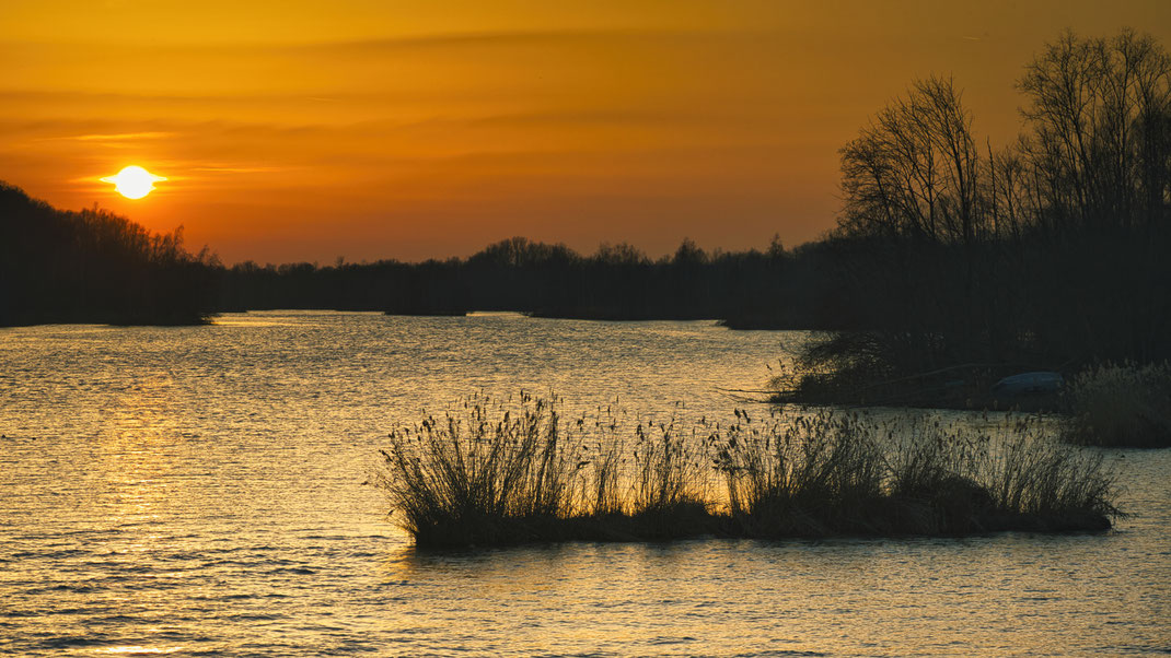 Die Isar bei Zeholfing (Foto: Joachim Aschenbrenner, 01.03.2023)