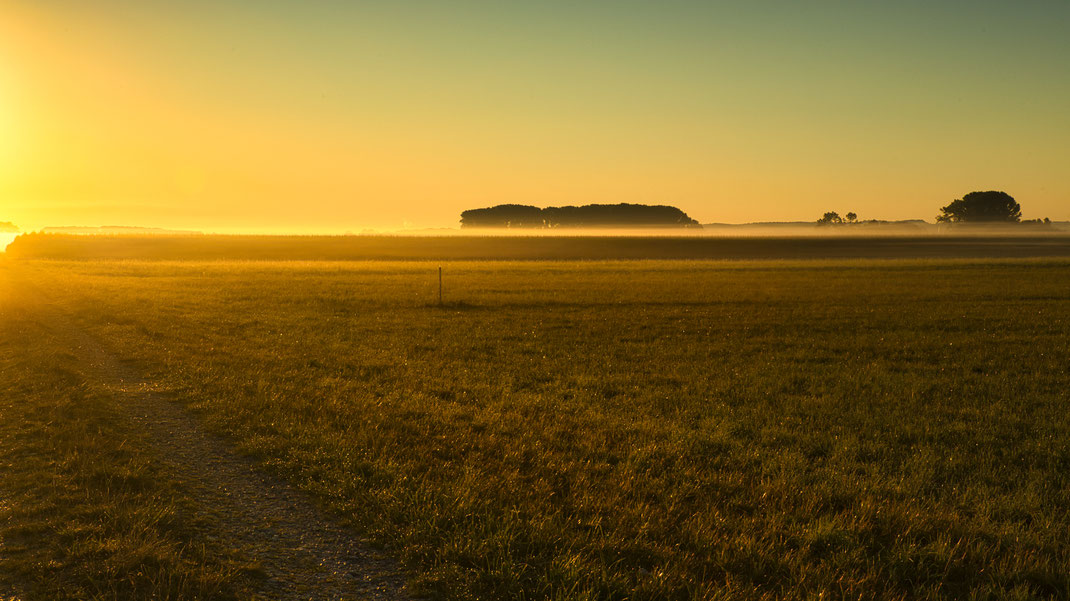 Sonnenaufgang im Königsauer Moos (Foto: Joachim Aschenbrenner August 2022)