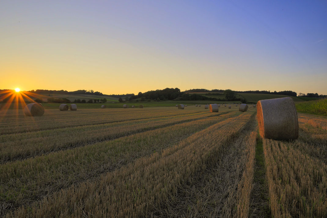 Die Ernte ist eingefahren. Septemberabend bei Töding (Foto: Joachim Aschenbrenner,2021)