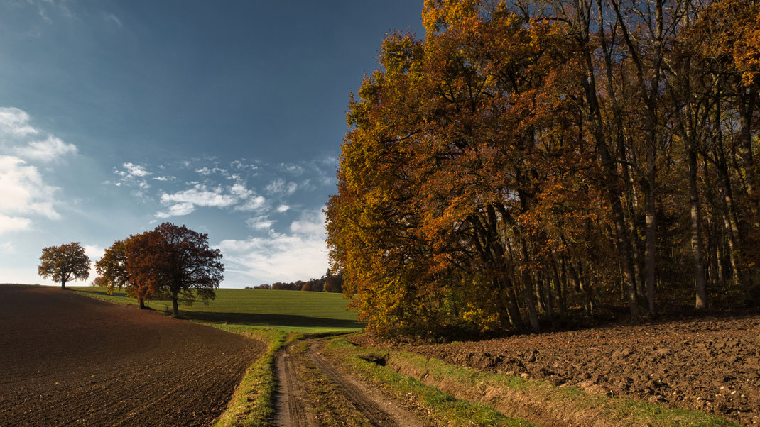 Wege hinter Habich I (Foto: Joachim Aschenbrenner 2021)