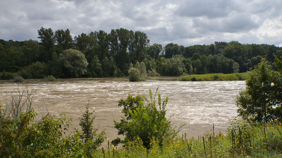 Ein nasser und kühler August verabschiedet sich mit viel Regen und Isarhochwasser bei Zulling (Foto: Joachim Aschenbrenner, 2021).