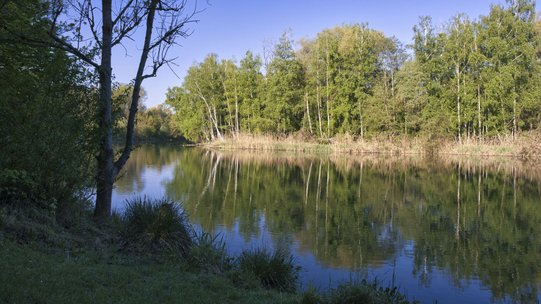 Die Isar bei Mamming (Foto: Joachim Aschenbrenner)