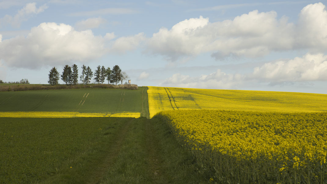Das nördliche Hügelland bei Dornwang (Foto: Joachim Aschenbrenner, 26.04.2023).