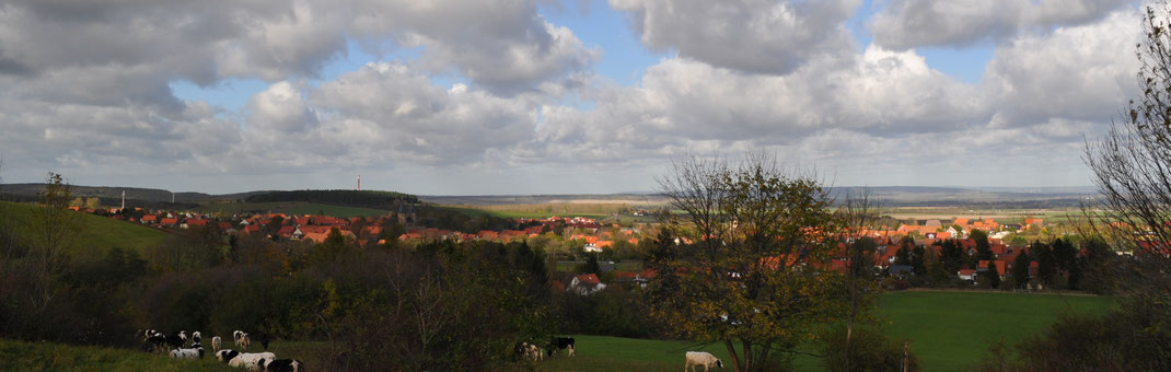 Druebeck mit Kloster Druebeck