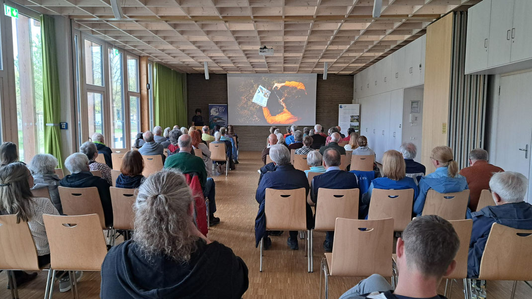 Foto: Katharina Dannenbauer