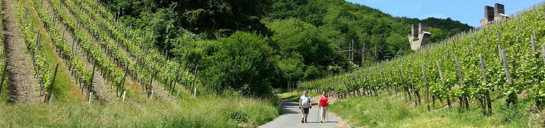 Der Abstieg vom Rotweinwanderweg nach Ahrweiler 