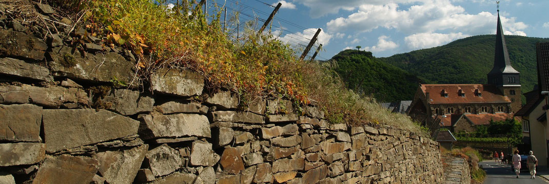 Der Abstieg vom Rotweinwanderweg zum Ortskern von Mayschoss an der Kirche vorbei zur Winzergenossenschaft Mayschoss-Altenahr