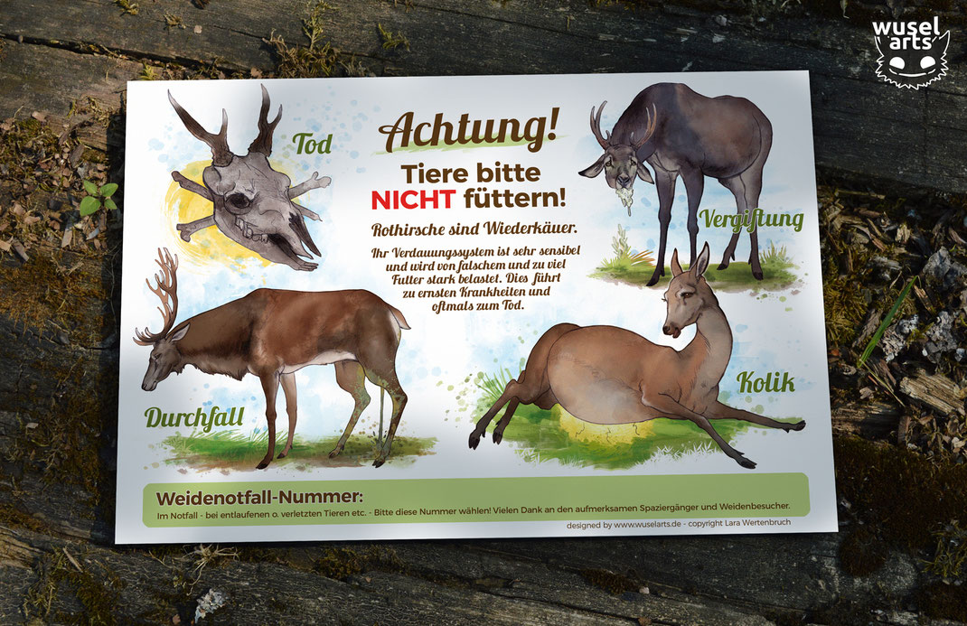 Weideschild Rotwild, "Rothirsche bitte nicht füttern!" - Schild für Wildgehege erklärt warum man die Hirsche nicht füttern darf