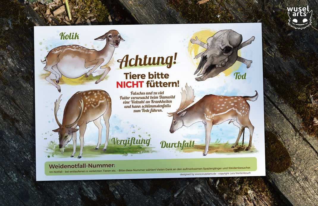 "Damwild nicht füttern!" Schild für Wildgehege erklärt, warum man die Damhirsche nicht füttern darf