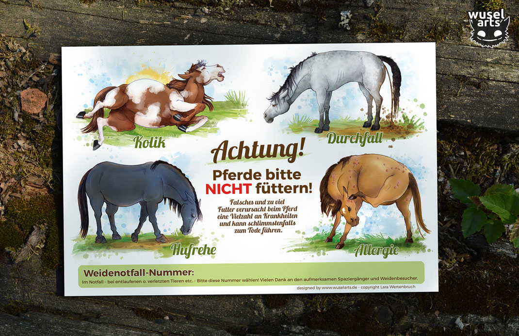 Hufrehe, Kolik, Durchfall oder Allergie sind Folgen von falschem Futter beim Pferd - "Pferde bitte nicht füttern!" Schild mit Notfallnummer warnt an der Weide