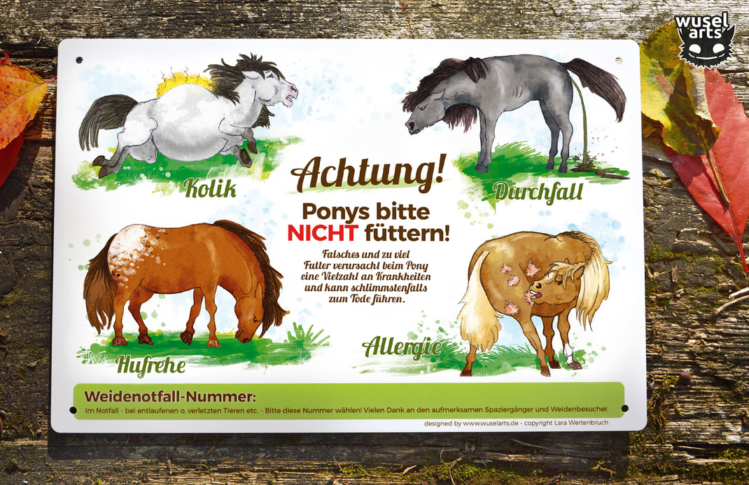 Ponys bitte nicht füttern! Hufrehe, Kolik, Allergie oder Durchfall sind schlimme Folgen von falschem Futter an der Pony Weide