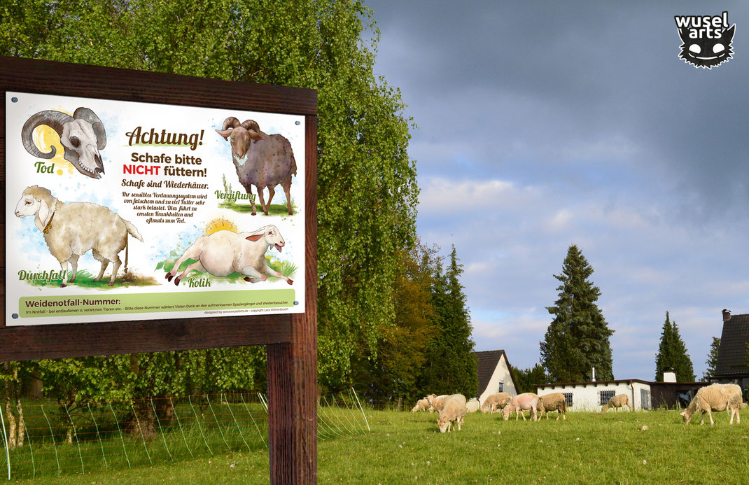 Schafweide mit "Schafe bitte nicht füttern!" Schild das auf einem Holzaufsteller befestigt ist - falsches Futter führt schlimmstenfalls zum Tod