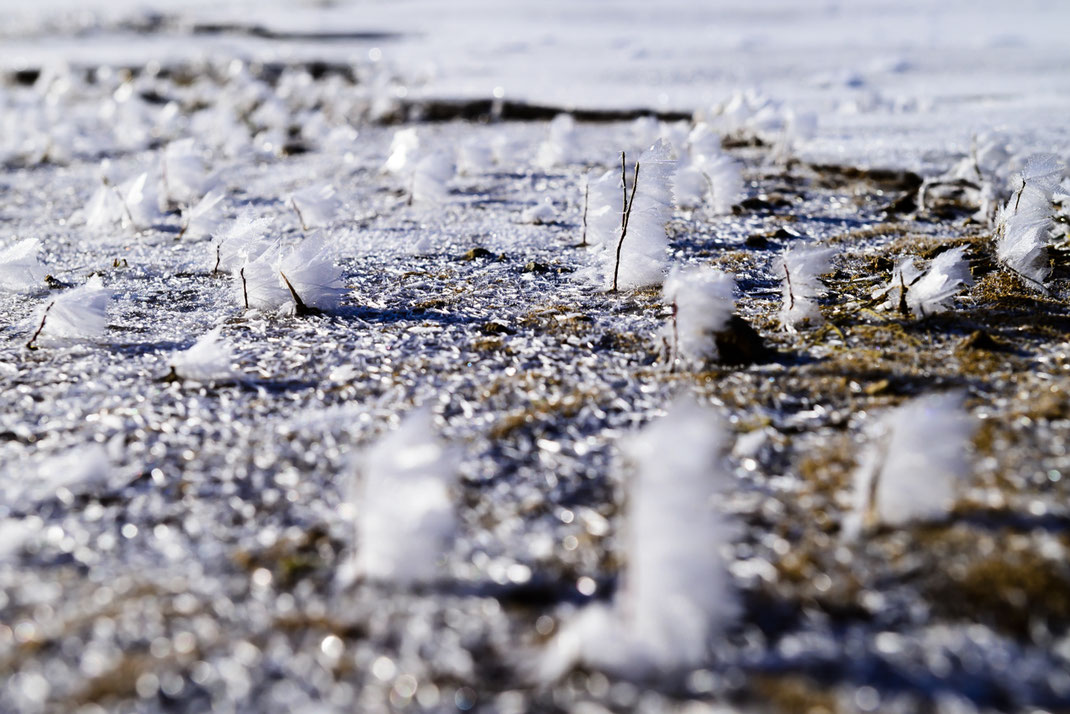 一冬一会　Once upon a winter 凍る湖　糠平湖　北海道　冬景色 hokkaido nature ice landscape photography フロストフラワー frostflower