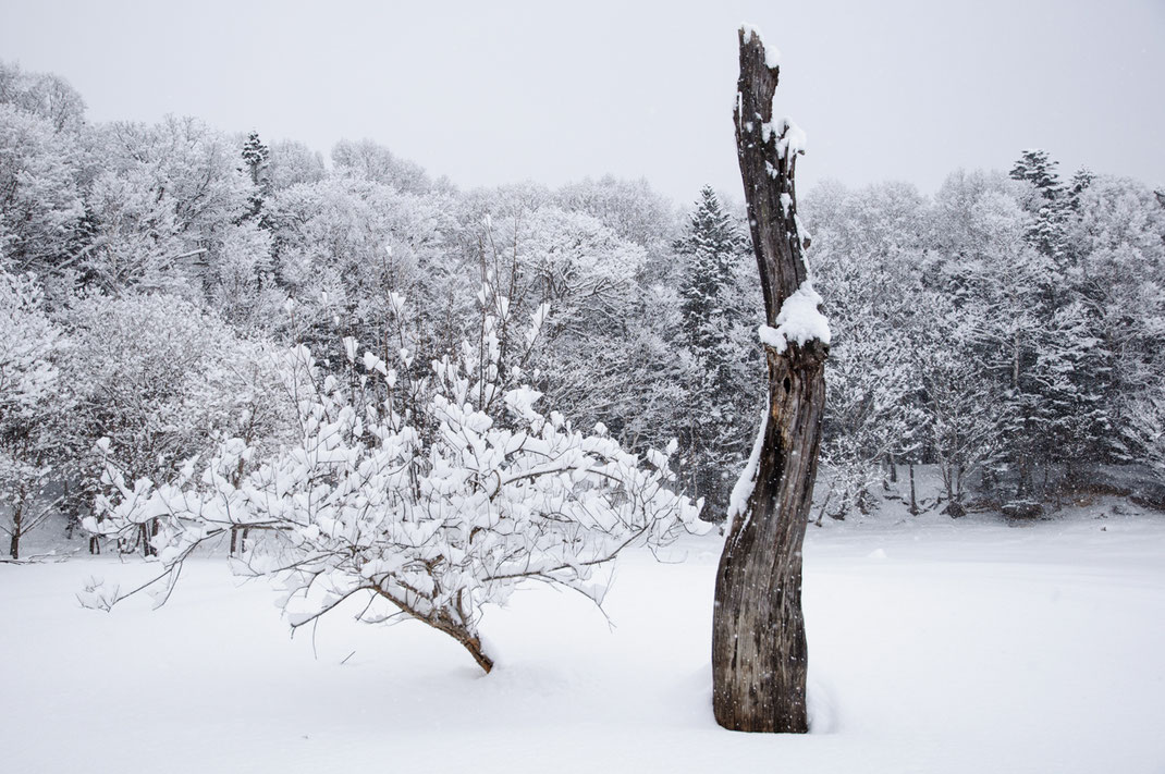 2010.2.19〈糠平湖／Lake Nukabira〉