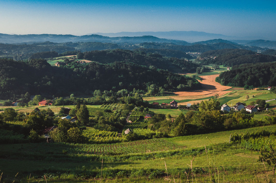 Weinanbau und Dorflandschaft bei Morgengrauen nahe Krapina kostenlos herunterladen