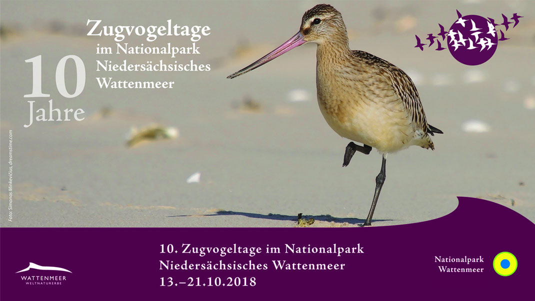 Zugvogeltage